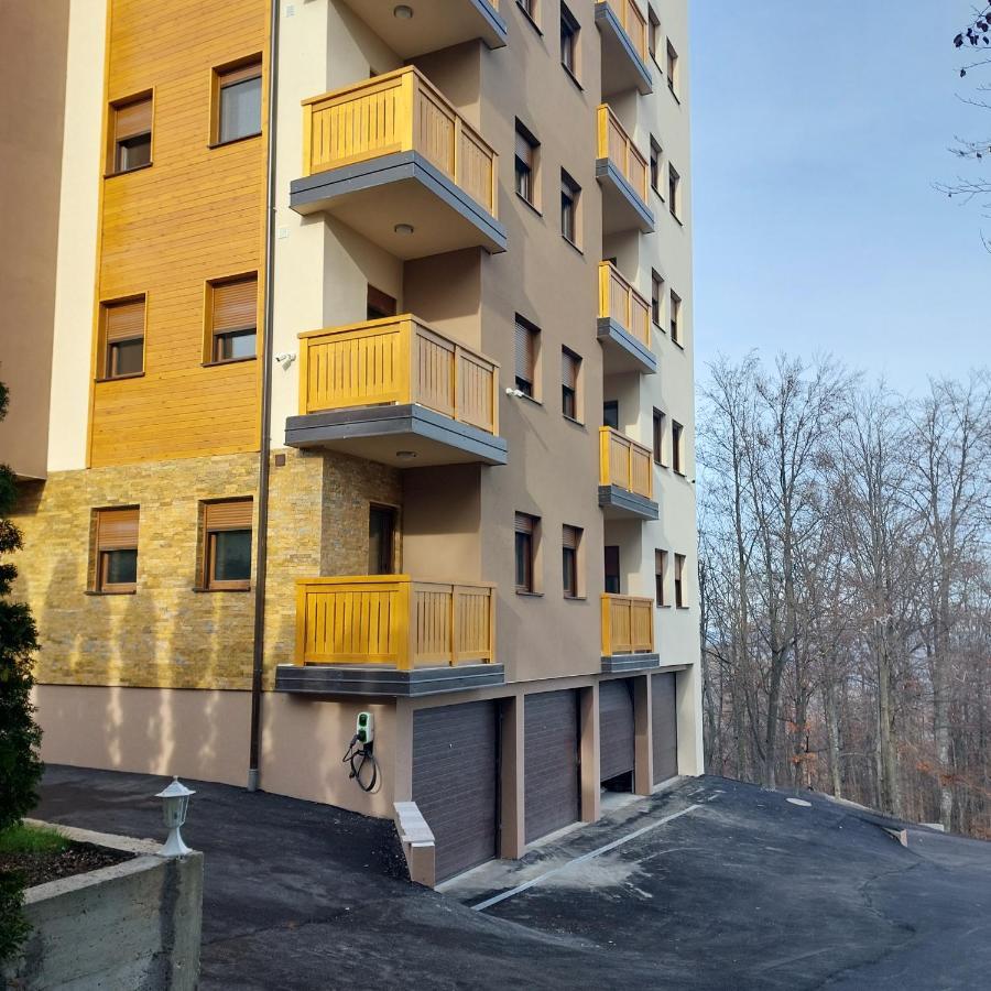 Apartment Snezna Idila Zlatibor